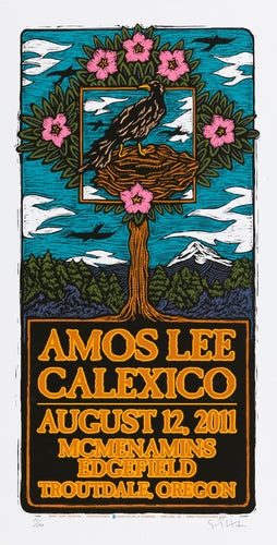 Amos Lee #2 • Calexico